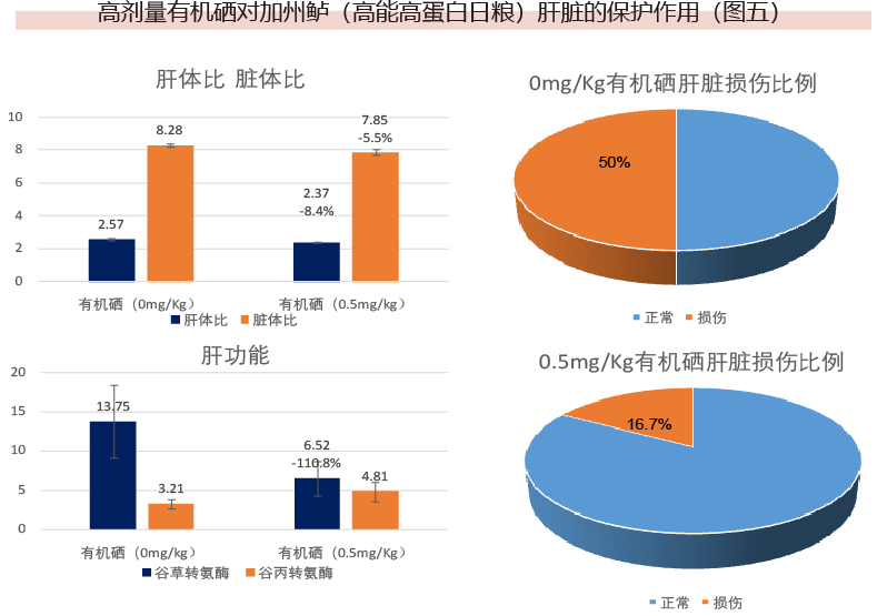 高剂量有机硒对加州鲈（高能高蛋白日粮）肝脏的保护作用（图五）